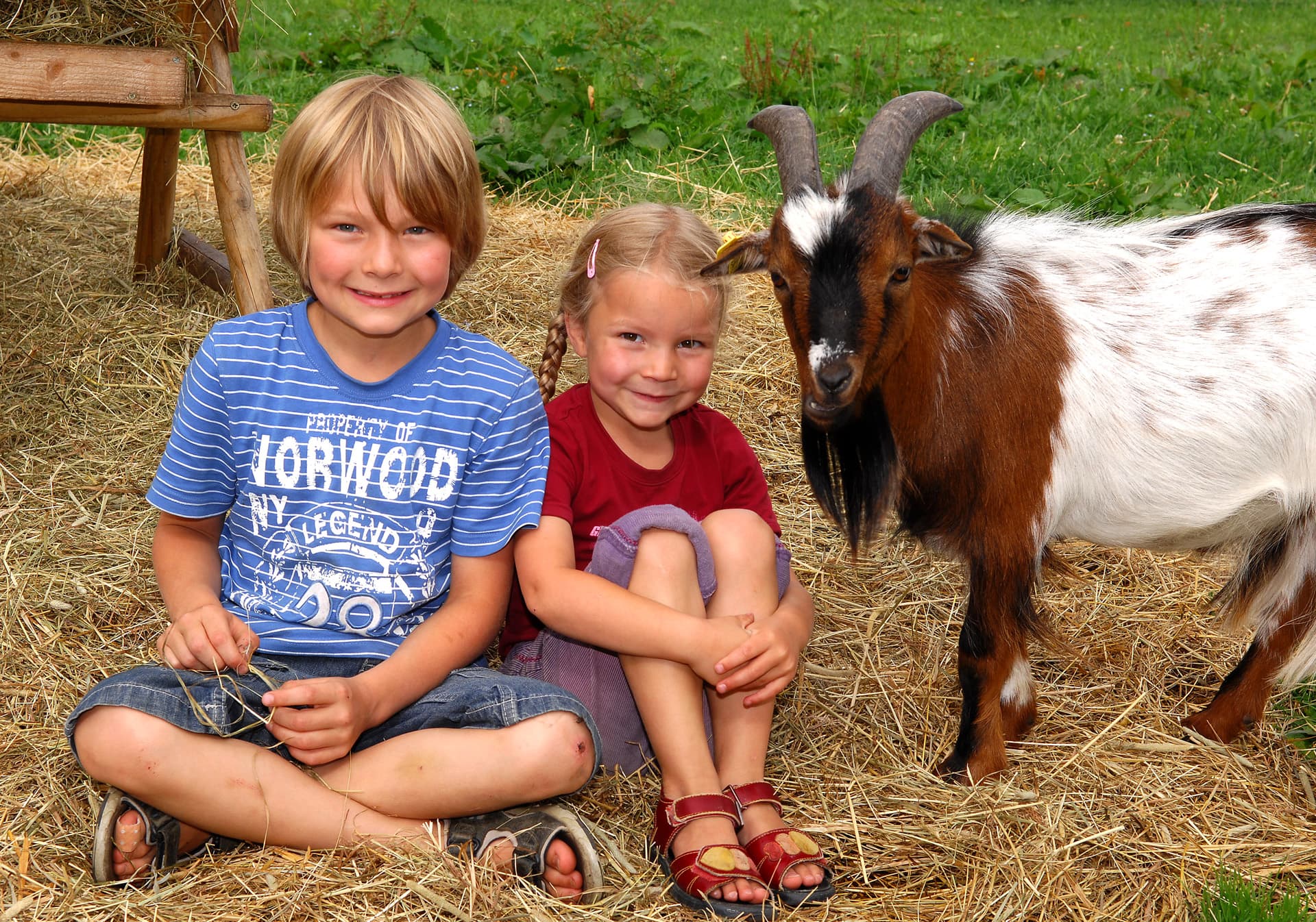 Zwei Kinder sitzen im Heu neben einer Ziege